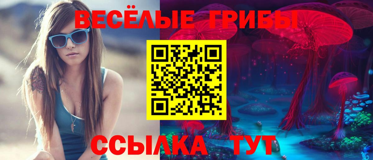 Псилоцибиновые грибы Magic Shrooms Курчалой