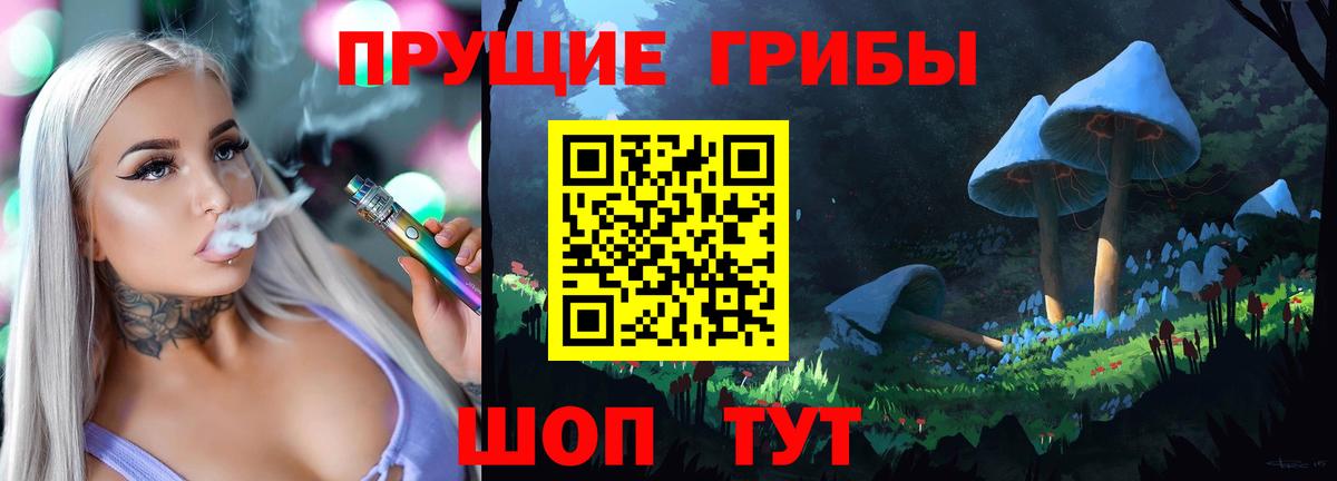 Курчалой  Псилоцибиновые грибы GOLDEN TEACHER  Вход с VPN 